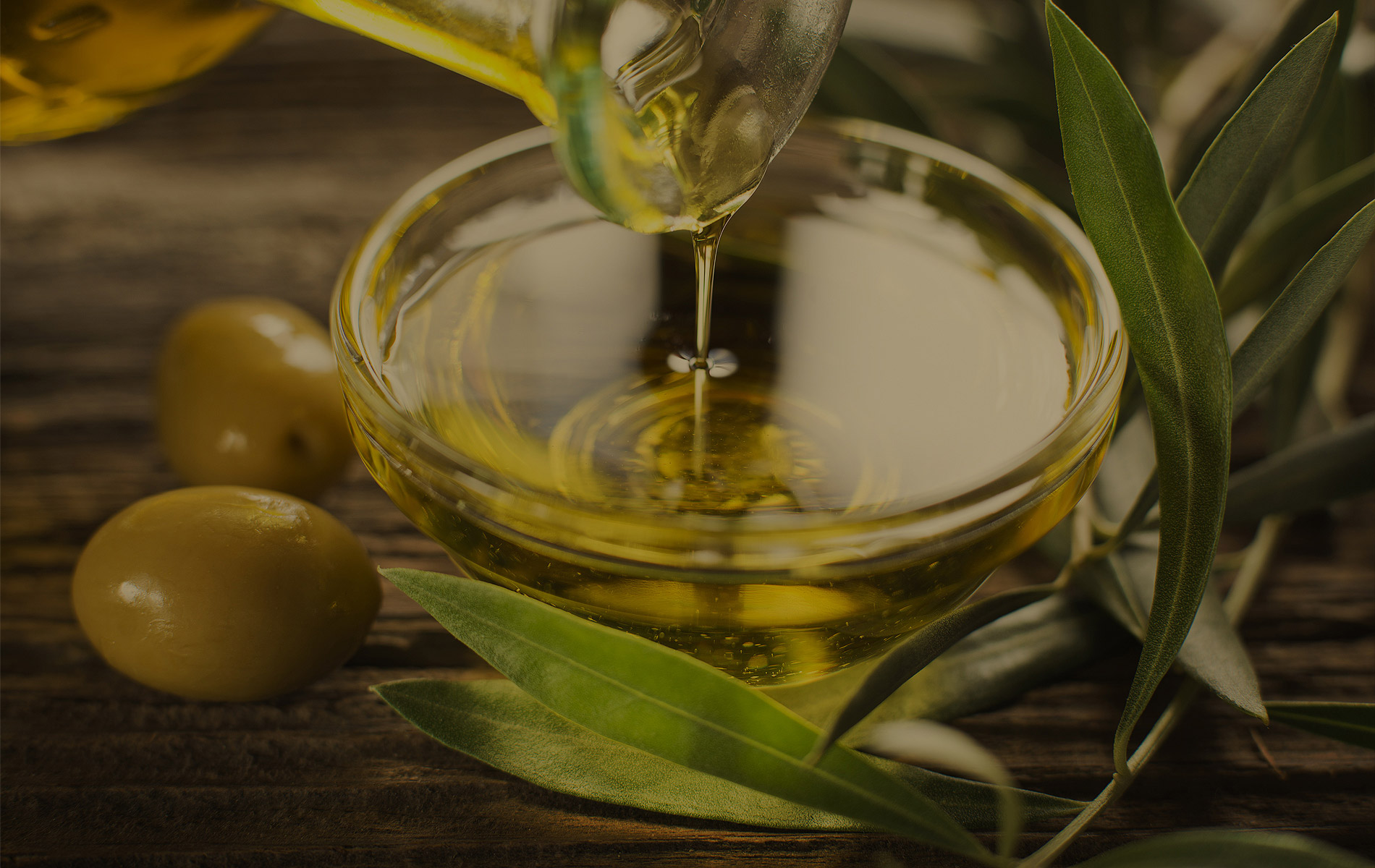 Vorstellung Speisekarte